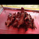 Knusprige Ratten gibt es ebenfalls zu kaufen